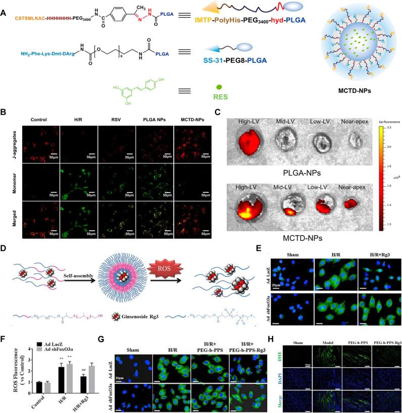 https://cdn.ncbi.nlm.nih.gov/pmc/blobs/ad05/11388064/1f8ce30a2665/thnov14p5336g007.jpg