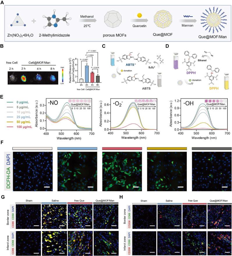 https://cdn.ncbi.nlm.nih.gov/pmc/blobs/ad05/11388064/604f0f06d9fc/thnov14p5336g006.jpg