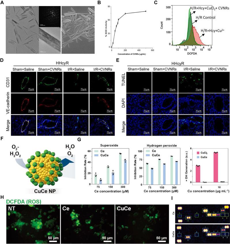 https://cdn.ncbi.nlm.nih.gov/pmc/blobs/ad05/11388064/8c3a382b9141/thnov14p5336g008.jpg