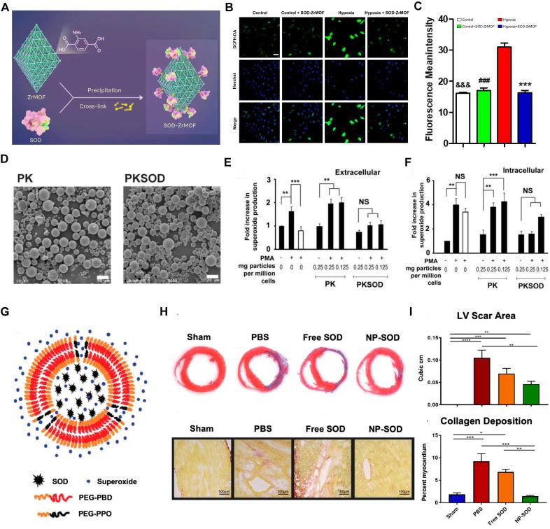 https://cdn.ncbi.nlm.nih.gov/pmc/blobs/ad05/11388064/9641d7997cf0/thnov14p5336g004.jpg