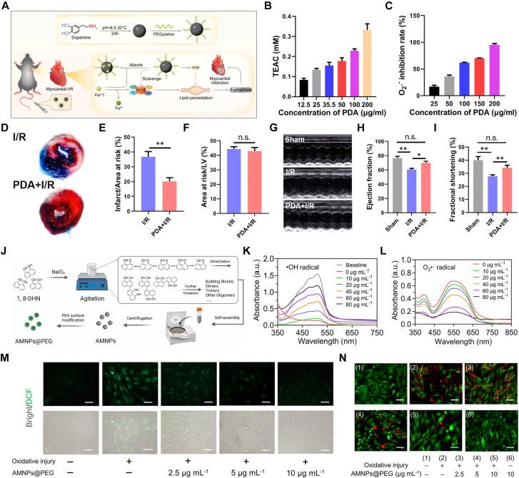 https://cdn.ncbi.nlm.nih.gov/pmc/blobs/ad05/11388064/d310bff64b74/thnov14p5336g005.jpg