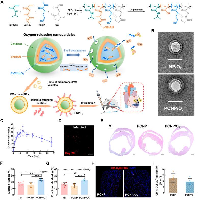 https://cdn.ncbi.nlm.nih.gov/pmc/blobs/ad05/11388064/f0ac9558eddb/thnov14p5336g010.jpg