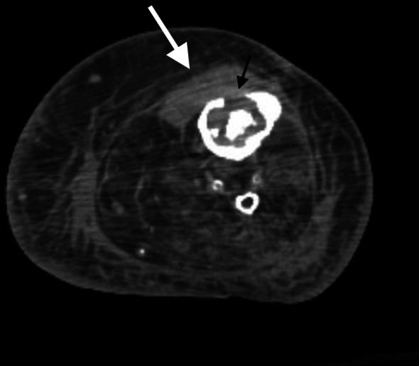 https://cdn.ncbi.nlm.nih.gov/pmc/blobs/ad07/10547659/cdf8afd10d53/13089_2023_339_Fig5_HTML.jpg