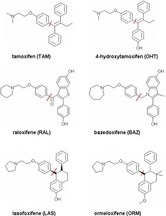 https://cdn.ncbi.nlm.nih.gov/pmc/blobs/ad07/2098847/1dabe5231bbe/pcbi.0030217.g006.jpg