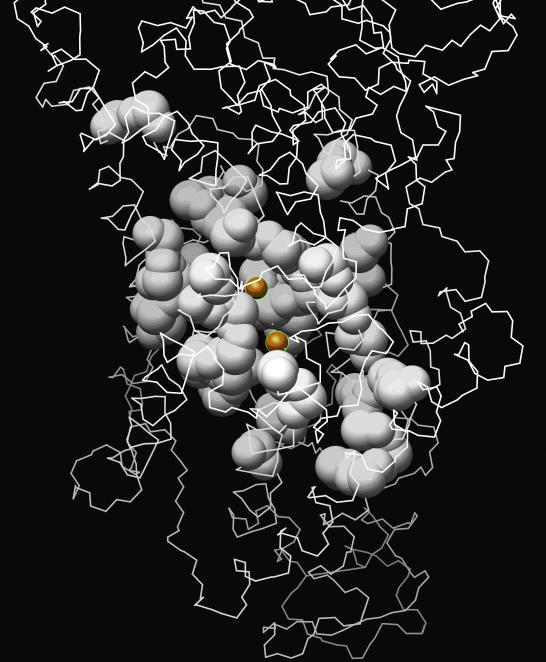 https://cdn.ncbi.nlm.nih.gov/pmc/blobs/ad07/2098847/788a7d98bae6/pcbi.0030217.g002.jpg