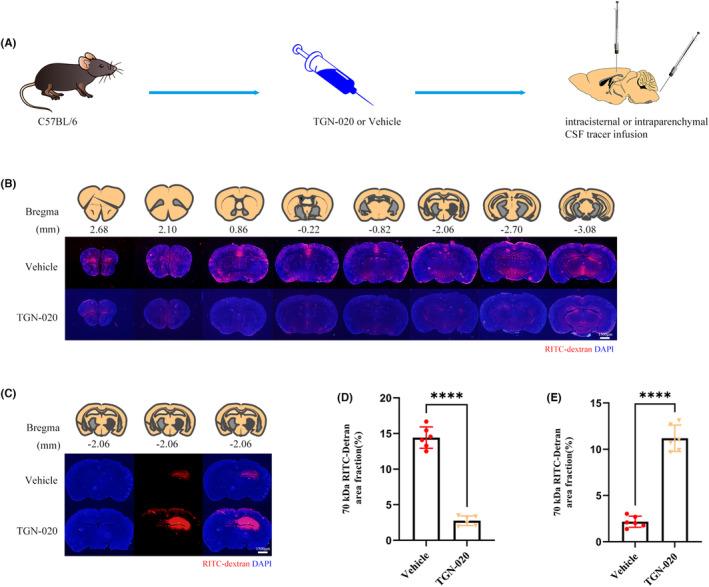 https://cdn.ncbi.nlm.nih.gov/pmc/blobs/ad08/10651945/7b5e7df24045/CNS-29-3876-g003.jpg