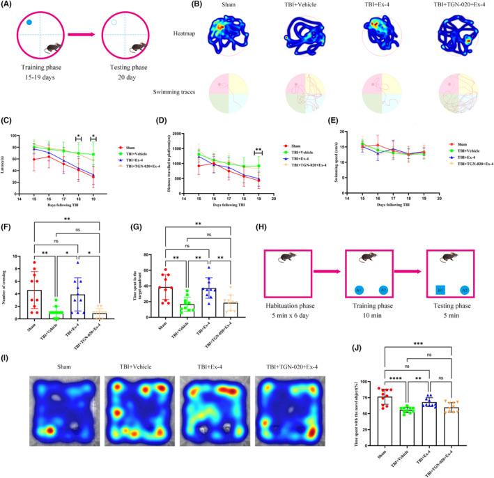 https://cdn.ncbi.nlm.nih.gov/pmc/blobs/ad08/10651945/7e6a03ef3484/CNS-29-3876-g004.jpg