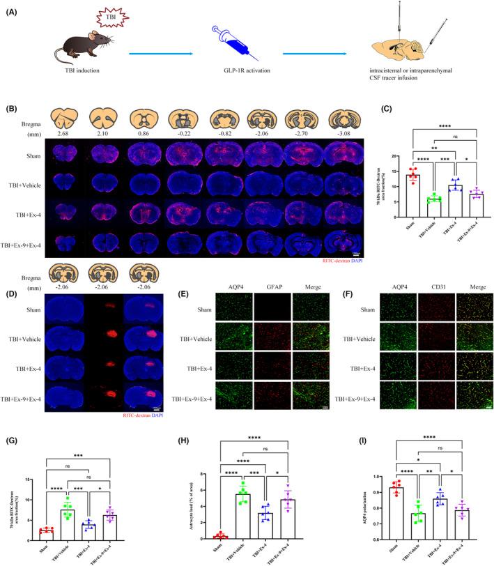 https://cdn.ncbi.nlm.nih.gov/pmc/blobs/ad08/10651945/cb576d7e32da/CNS-29-3876-g005.jpg