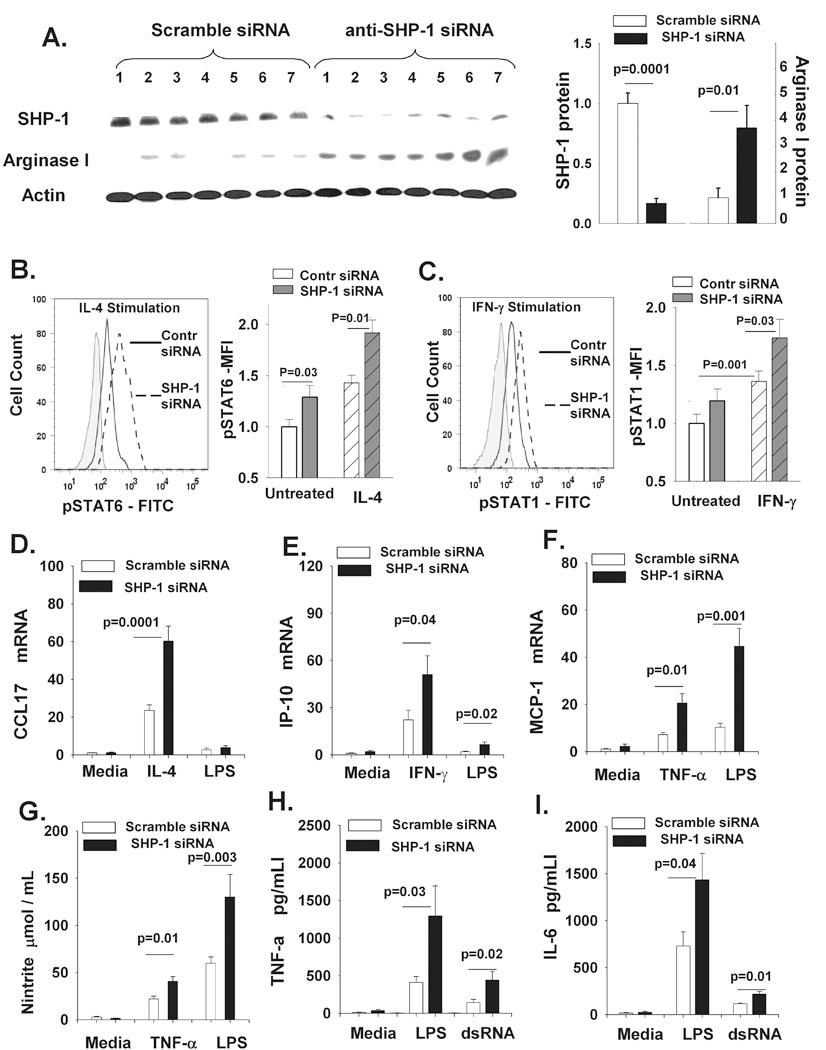 https://cdn.ncbi.nlm.nih.gov/pmc/blobs/ad08/2725397/6a258fd7f80b/nihms103265f8.jpg