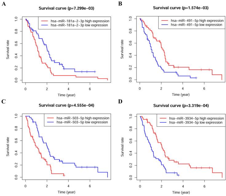 https://cdn.ncbi.nlm.nih.gov/pmc/blobs/ad0b/11632982/57c1d6c520db/jcav15p6505g002.jpg