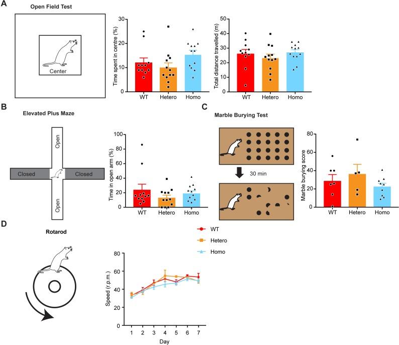 https://cdn.ncbi.nlm.nih.gov/pmc/blobs/ad0d/7028368/a27daf029071/elife-53456-fig8-figsupp1.jpg