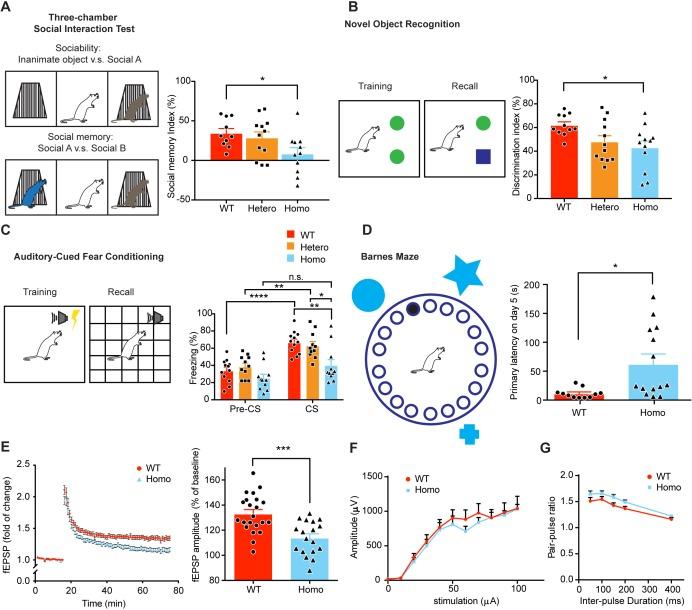 https://cdn.ncbi.nlm.nih.gov/pmc/blobs/ad0d/7028368/a979f21a66fe/elife-53456-fig8.jpg