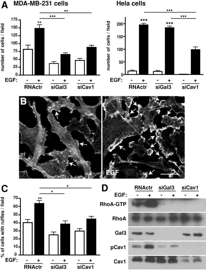 https://cdn.ncbi.nlm.nih.gov/pmc/blobs/ad0e/3694797/17bf0fb68961/2134fig6.jpg