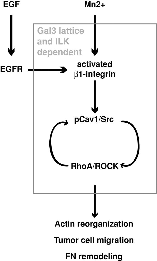 https://cdn.ncbi.nlm.nih.gov/pmc/blobs/ad0e/3694797/5dd56bc27684/2134fig8.jpg