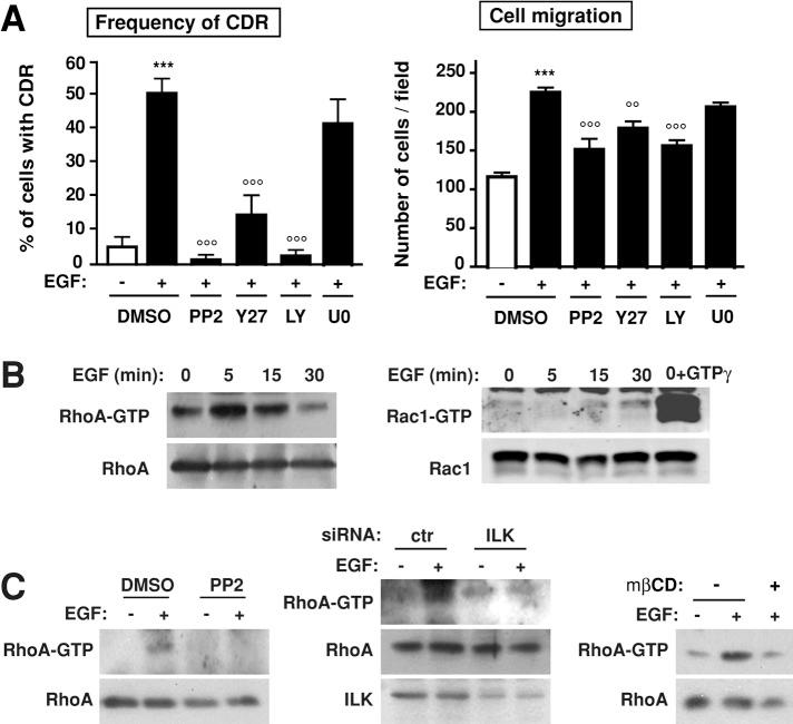 https://cdn.ncbi.nlm.nih.gov/pmc/blobs/ad0e/3694797/7d2a1c940f2a/2134fig2.jpg