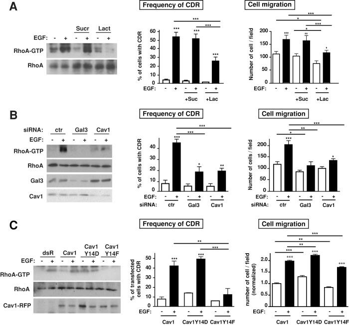 https://cdn.ncbi.nlm.nih.gov/pmc/blobs/ad0e/3694797/a48bcb23c99a/2134fig3.jpg