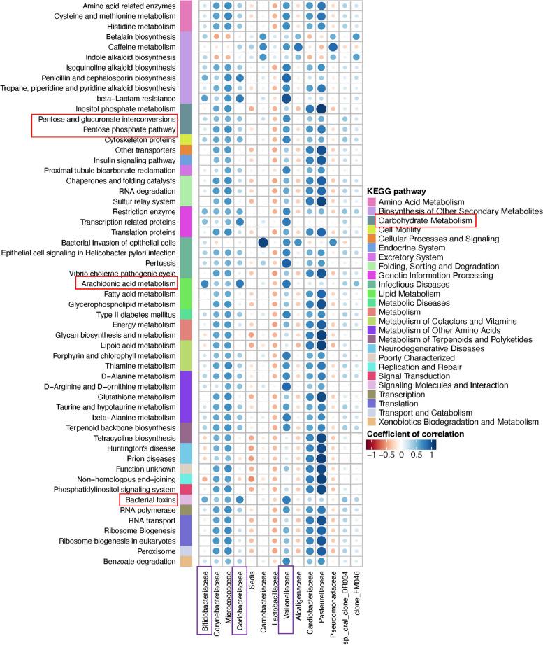 https://cdn.ncbi.nlm.nih.gov/pmc/blobs/ad10/10956276/315ea02b1d75/12903_2024_4150_Fig8_HTML.jpg