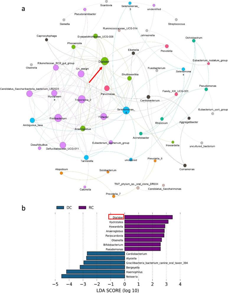 https://cdn.ncbi.nlm.nih.gov/pmc/blobs/ad10/10956276/4279b4dcea08/12903_2024_4150_Fig7_HTML.jpg