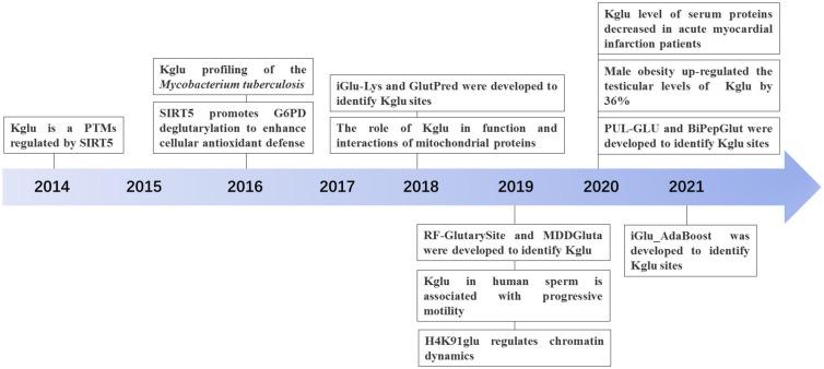 https://cdn.ncbi.nlm.nih.gov/pmc/blobs/ad13/8264553/1cb172cb15aa/fcell-09-667684-g002.jpg