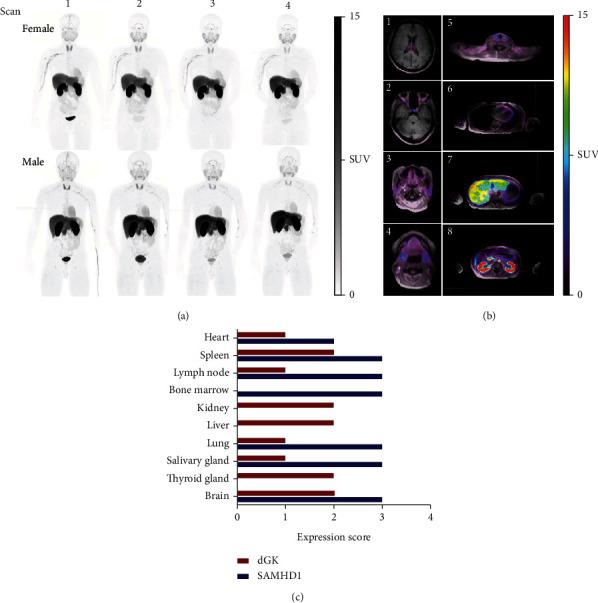 https://cdn.ncbi.nlm.nih.gov/pmc/blobs/ad13/9400547/0f1906d93fc5/MOI2022-3667417.002.jpg