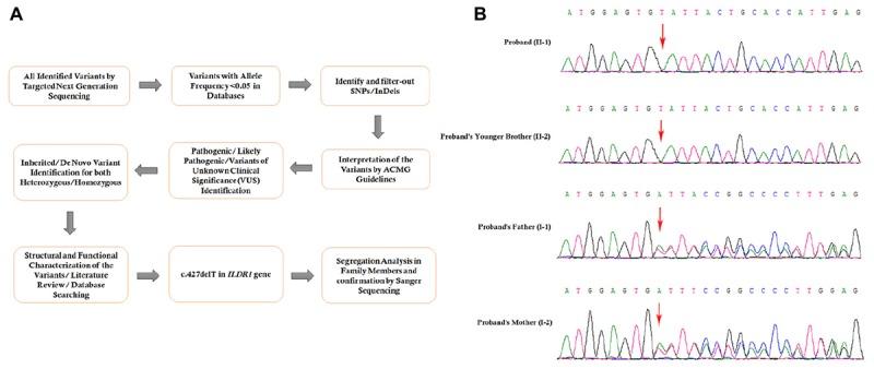 https://cdn.ncbi.nlm.nih.gov/pmc/blobs/ad19/6370629/3b753487a988/fgene-10-00001-g003.jpg