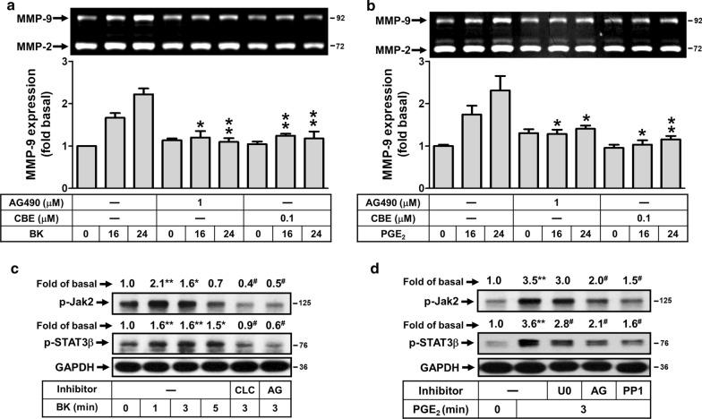 https://cdn.ncbi.nlm.nih.gov/pmc/blobs/ad1b/7685582/5313b26b15b1/12964_2020_680_Fig6_HTML.jpg