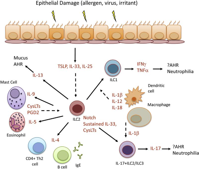 https://cdn.ncbi.nlm.nih.gov/pmc/blobs/ad1c/6614863/f46317b3380e/nihms-1038929-f0002.jpg
