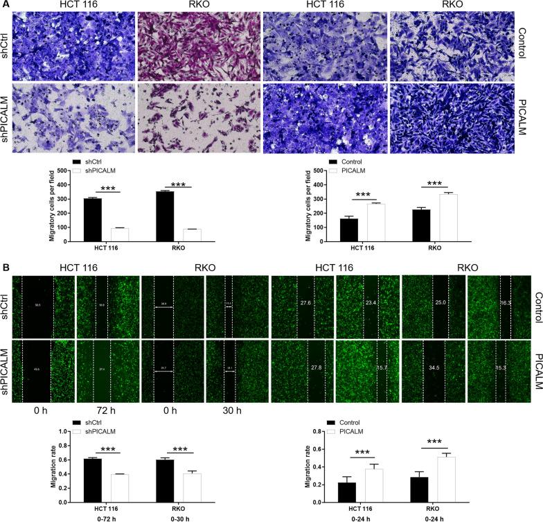 https://cdn.ncbi.nlm.nih.gov/pmc/blobs/ad1c/9063212/07994030ce86/12935_2022_2577_Fig3_HTML.jpg