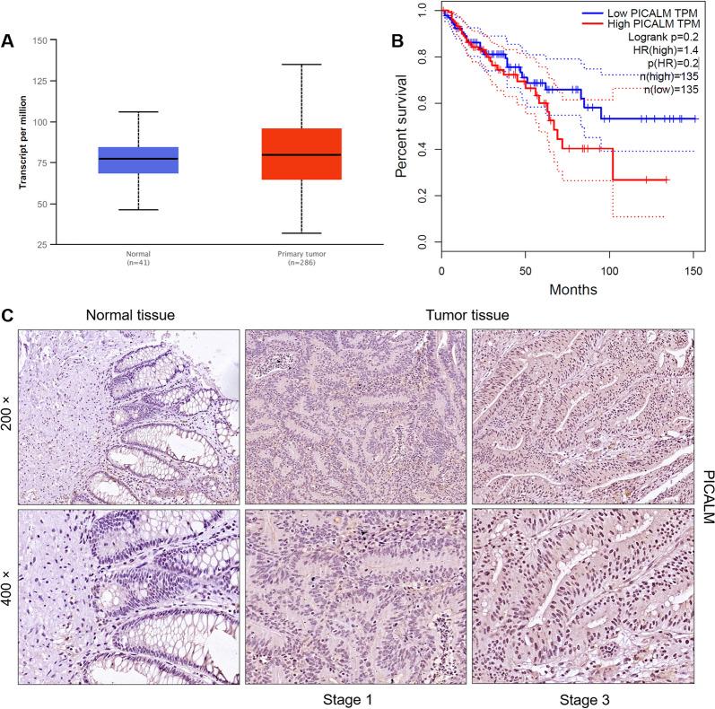 https://cdn.ncbi.nlm.nih.gov/pmc/blobs/ad1c/9063212/e9beecb70460/12935_2022_2577_Fig1_HTML.jpg