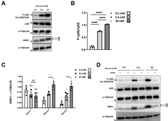 https://cdn.ncbi.nlm.nih.gov/pmc/blobs/ad1e/8253965/0d4b47fafeb8/gr1.jpg