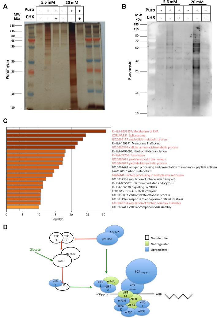 https://cdn.ncbi.nlm.nih.gov/pmc/blobs/ad1e/8253965/1f3fe717caa0/gr4.jpg