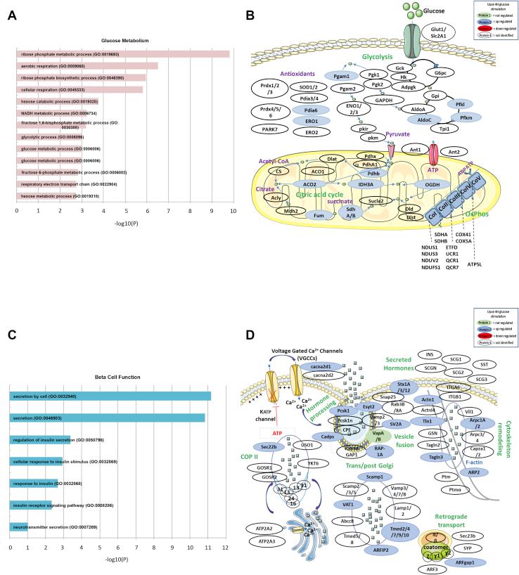 https://cdn.ncbi.nlm.nih.gov/pmc/blobs/ad1e/8253965/6a1b04737eb9/gr5.jpg