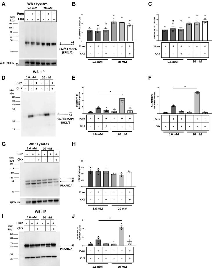 https://cdn.ncbi.nlm.nih.gov/pmc/blobs/ad1e/8253965/8fb26dc67181/gr6.jpg