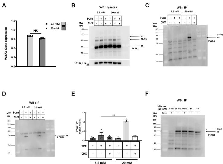https://cdn.ncbi.nlm.nih.gov/pmc/blobs/ad1e/8253965/e5e54c9affd6/gr3.jpg