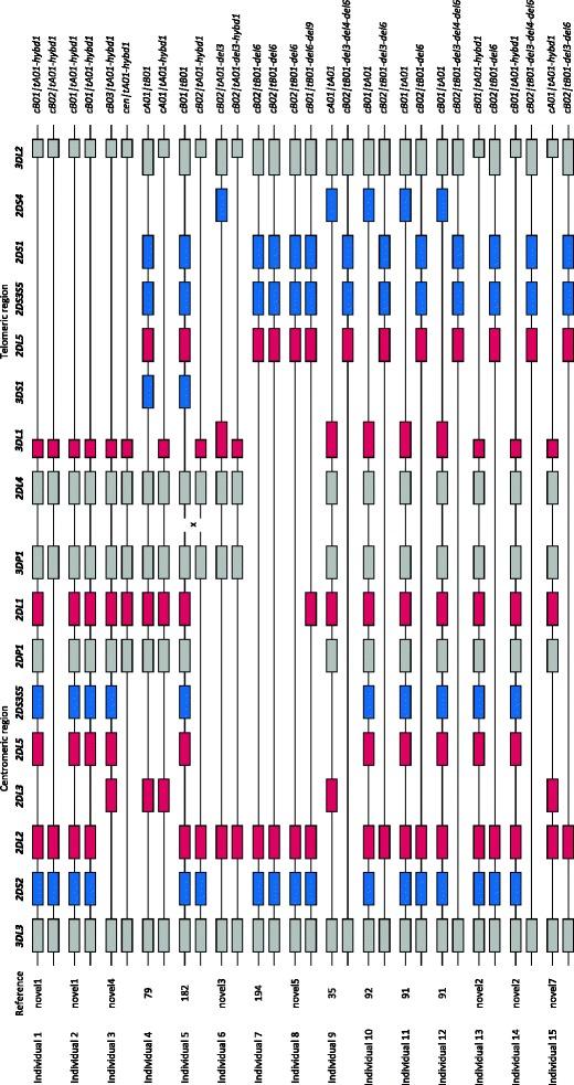 https://cdn.ncbi.nlm.nih.gov/pmc/blobs/ad20/3824577/86056b76af40/251_2013_724_Fig4_HTML.jpg