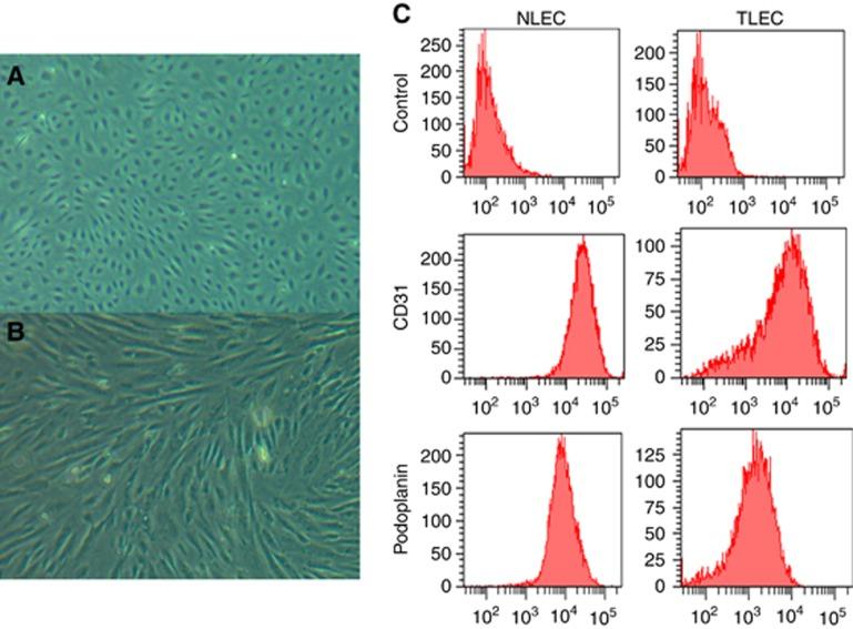 https://cdn.ncbi.nlm.nih.gov/pmc/blobs/ad21/4651131/be9b73523161/bjc2015282f1.jpg