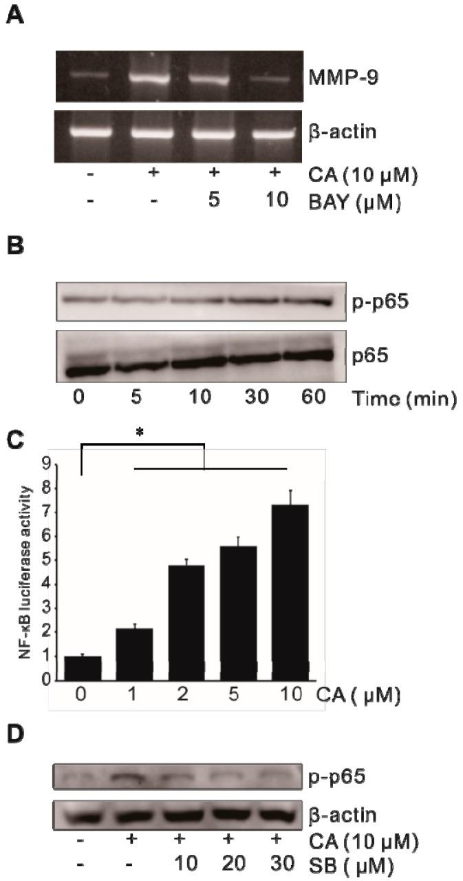 https://cdn.ncbi.nlm.nih.gov/pmc/blobs/ad21/7279292/621ca8bcee74/ijms-21-03420-g004.jpg