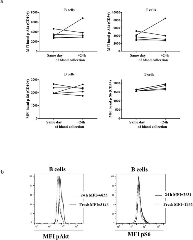https://cdn.ncbi.nlm.nih.gov/pmc/blobs/ad23/11604744/0680050b168c/fimmu-15-1476218-g001.jpg