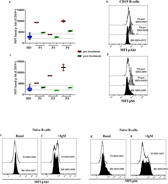 https://cdn.ncbi.nlm.nih.gov/pmc/blobs/ad23/11604744/d259d8dab345/fimmu-15-1476218-g006.jpg