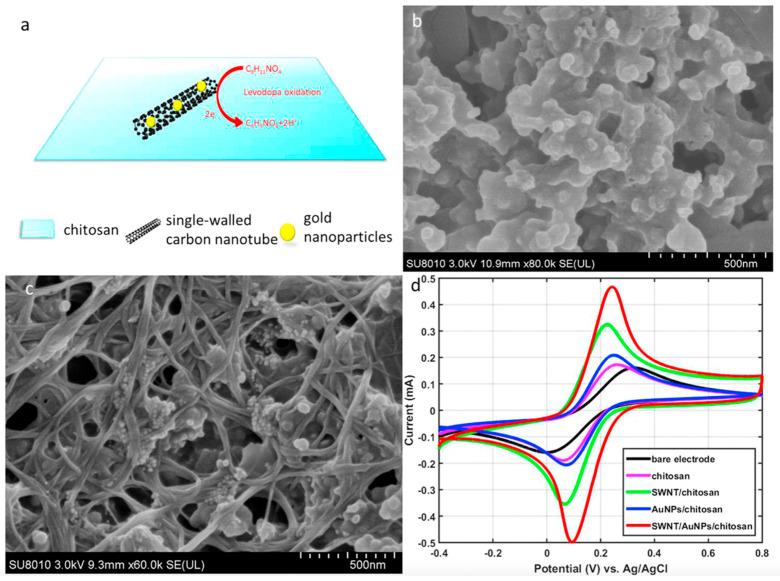 https://cdn.ncbi.nlm.nih.gov/pmc/blobs/ad24/9268713/28b65b0c4cf4/nanomaterials-12-02283-g005.jpg