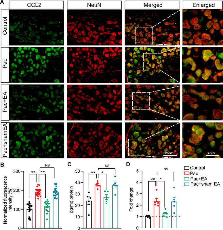 https://cdn.ncbi.nlm.nih.gov/pmc/blobs/ad25/11727193/4ade49d4e41a/13020_2024_1023_Fig4_HTML.jpg