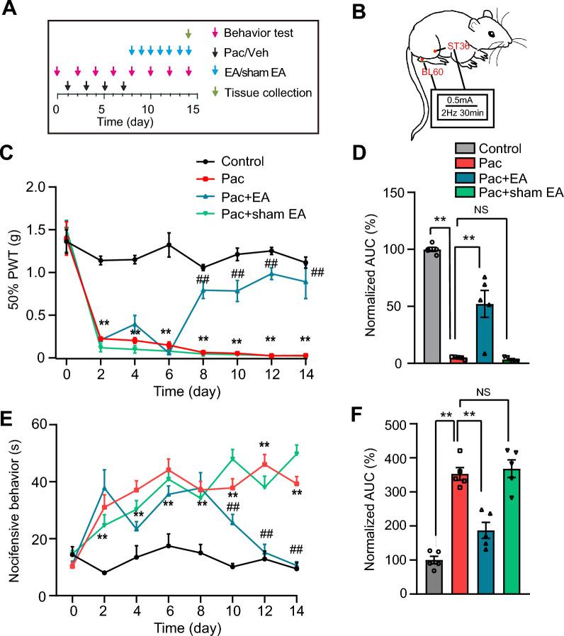 https://cdn.ncbi.nlm.nih.gov/pmc/blobs/ad25/11727193/91598c30a2d9/13020_2024_1023_Fig1_HTML.jpg