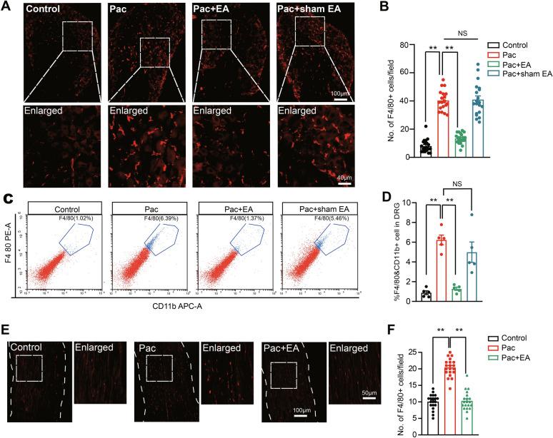 https://cdn.ncbi.nlm.nih.gov/pmc/blobs/ad25/11727193/9a4b0b806753/13020_2024_1023_Fig2_HTML.jpg
