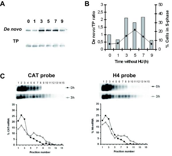 https://cdn.ncbi.nlm.nih.gov/pmc/blobs/ad26/2691400/668a7c21093b/1471-2199-10-48-5.jpg