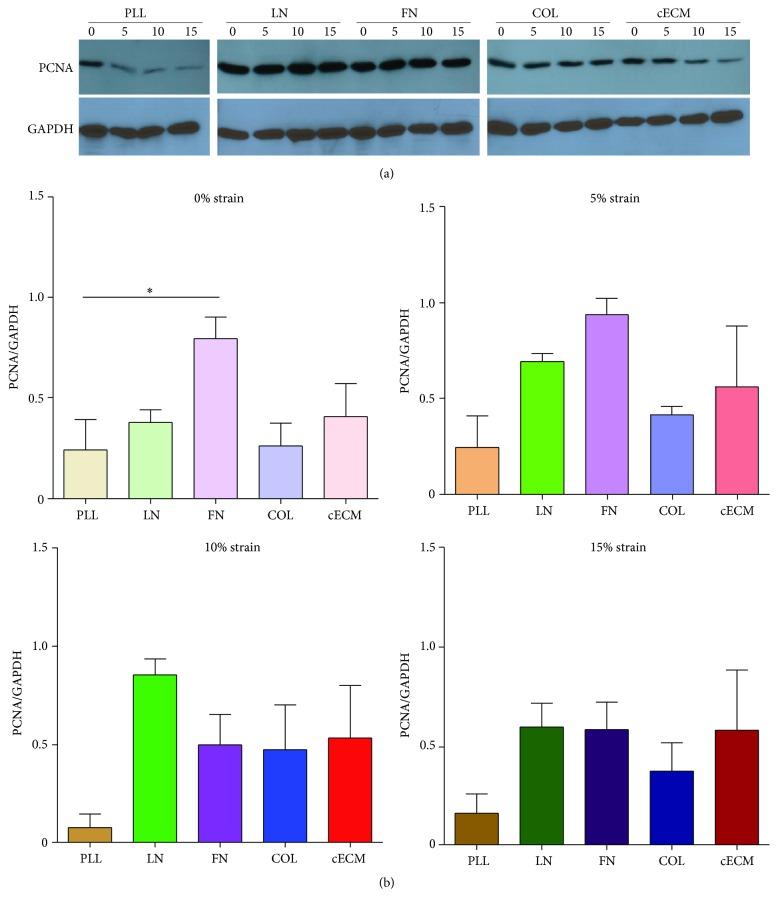 https://cdn.ncbi.nlm.nih.gov/pmc/blobs/ad26/5004015/043107696059/SCI2016-8364382.004.jpg