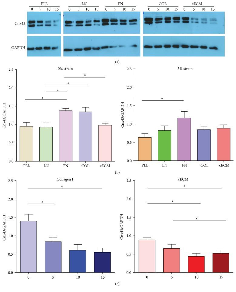 https://cdn.ncbi.nlm.nih.gov/pmc/blobs/ad26/5004015/98a43d938898/SCI2016-8364382.005.jpg