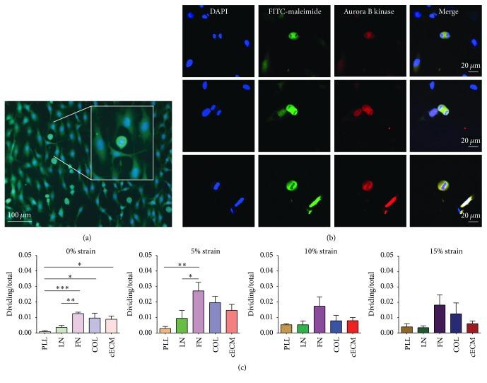 https://cdn.ncbi.nlm.nih.gov/pmc/blobs/ad26/5004015/caf5085ba167/SCI2016-8364382.003.jpg