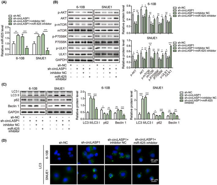 https://cdn.ncbi.nlm.nih.gov/pmc/blobs/ad2b/10154807/0f99a3da483e/CAS-114-2123-g001.jpg