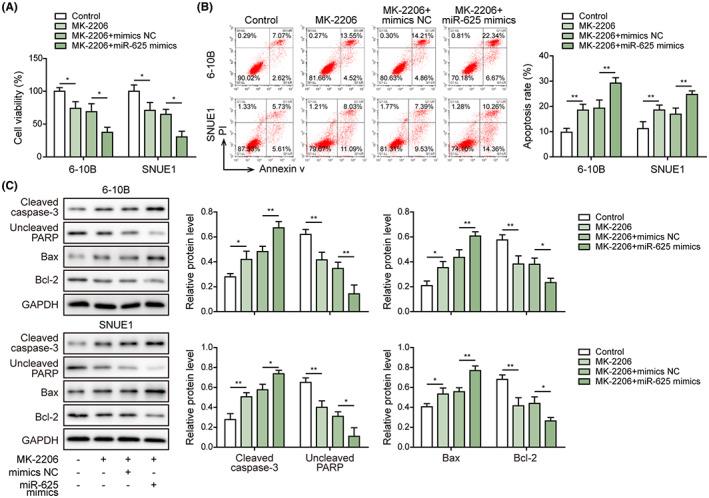 https://cdn.ncbi.nlm.nih.gov/pmc/blobs/ad2b/10154807/9d8c4a0975d6/CAS-114-2123-g004.jpg