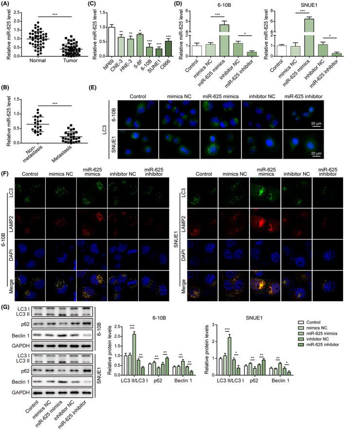 https://cdn.ncbi.nlm.nih.gov/pmc/blobs/ad2b/10154807/aac7230afcbc/CAS-114-2123-g011.jpg